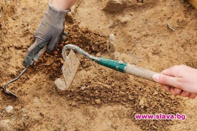 Преди 54 000 години Хомо сапиенс в Европа е бил въоръжен с лъкове и стрели
