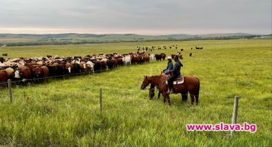 Viasat Nature представя най-чудните кътчета на Земята