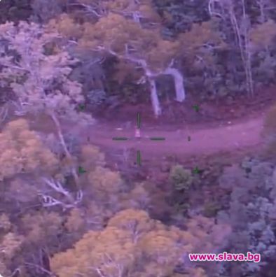 Жена оцеля 5 дни в австралийския храсталак с бонбони и вино