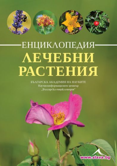 За Еньовден излиза нова енциклопедия на лечебните растения