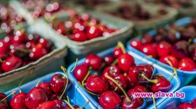 Кутия с 15 череши беше продадена в Япония за 3500 долара
