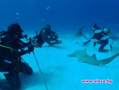 Фестивал на акулите стартира по National Geographic