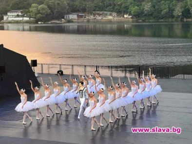 Лебедово езеро на ез. Панчарево: ФОТОГАЛЕРИЯ И ВИДЕО