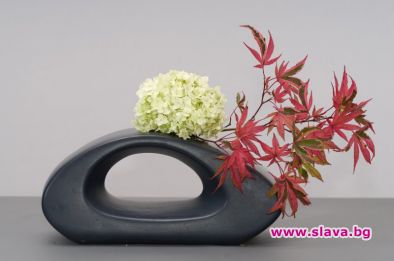 Икебана и Хайга грейват в София тази седмица