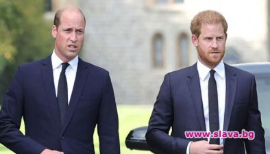 Резкият коментар на принц Уилям към Хари разбива сърцето му