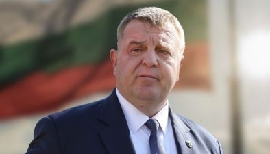 Долетяха първите върнати от Австрия мигранти