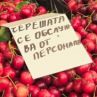 Черешата се обслужва от персонала