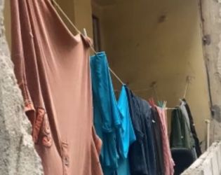 Собственичката на 45-те кучета от апартамента на Орлов мост се мести в Габрово (Видео)