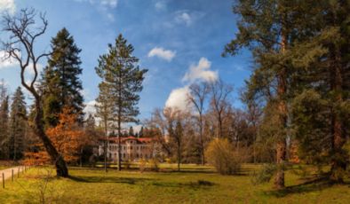 Кметът иска Врана, но няма как по закон, ПП имаше губернатор, ала не си мръдна пръста по казуса