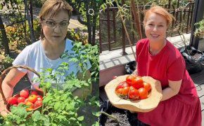 М. Добрева бие по домати К. Нинова (ВИДЕО)