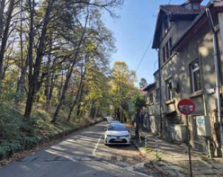 Най-красивата в София ул. Борова гора - без бор, но с история: Улиците на София