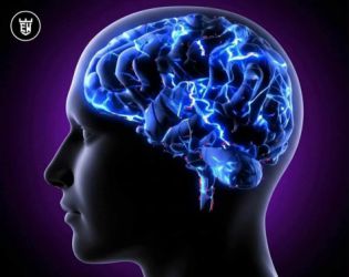 Прекаленото скролване в TikTok свива зони в мозъка, отговорни за фокуса и паметта