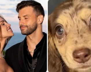 Гришо харчи 900 евро на месец за новия си домашен любимец