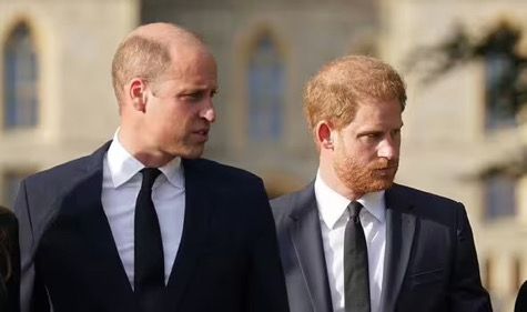 Принц Уилям и принц Хари пред неловка среща догодина