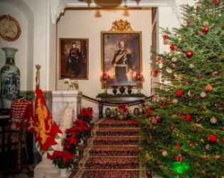 Врана пред Коледа: ФОТО НА ДЕНЯ