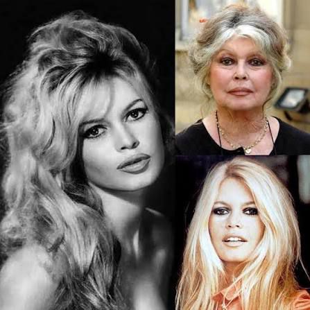 Брижит Бардо – живот, слава и противоречия