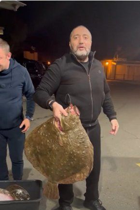 Риба с хей такива Очи от Очите: ВИДЕО НА НОЩТА