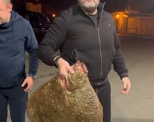 Риба с хей такива Очи от Очите: ВИДЕО НА НОЩТА