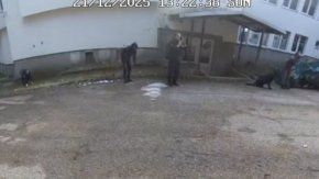 Ето как коленичат пред 