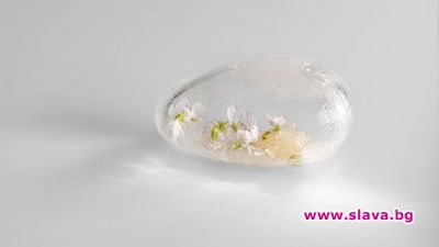 slava.bg : 7. Mugaritz в Сан-Себастиан (Испания)