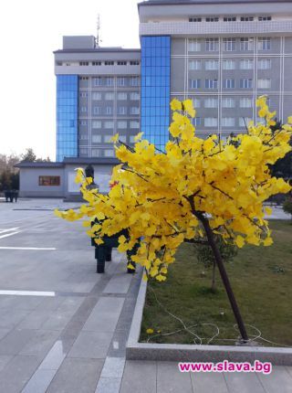slava.bg : slava.bg :