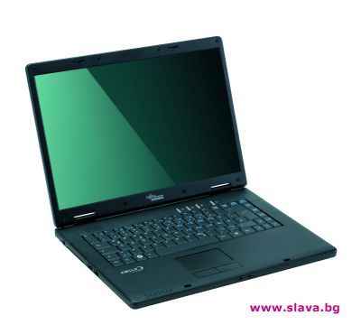 2.7 кг. висок интелект